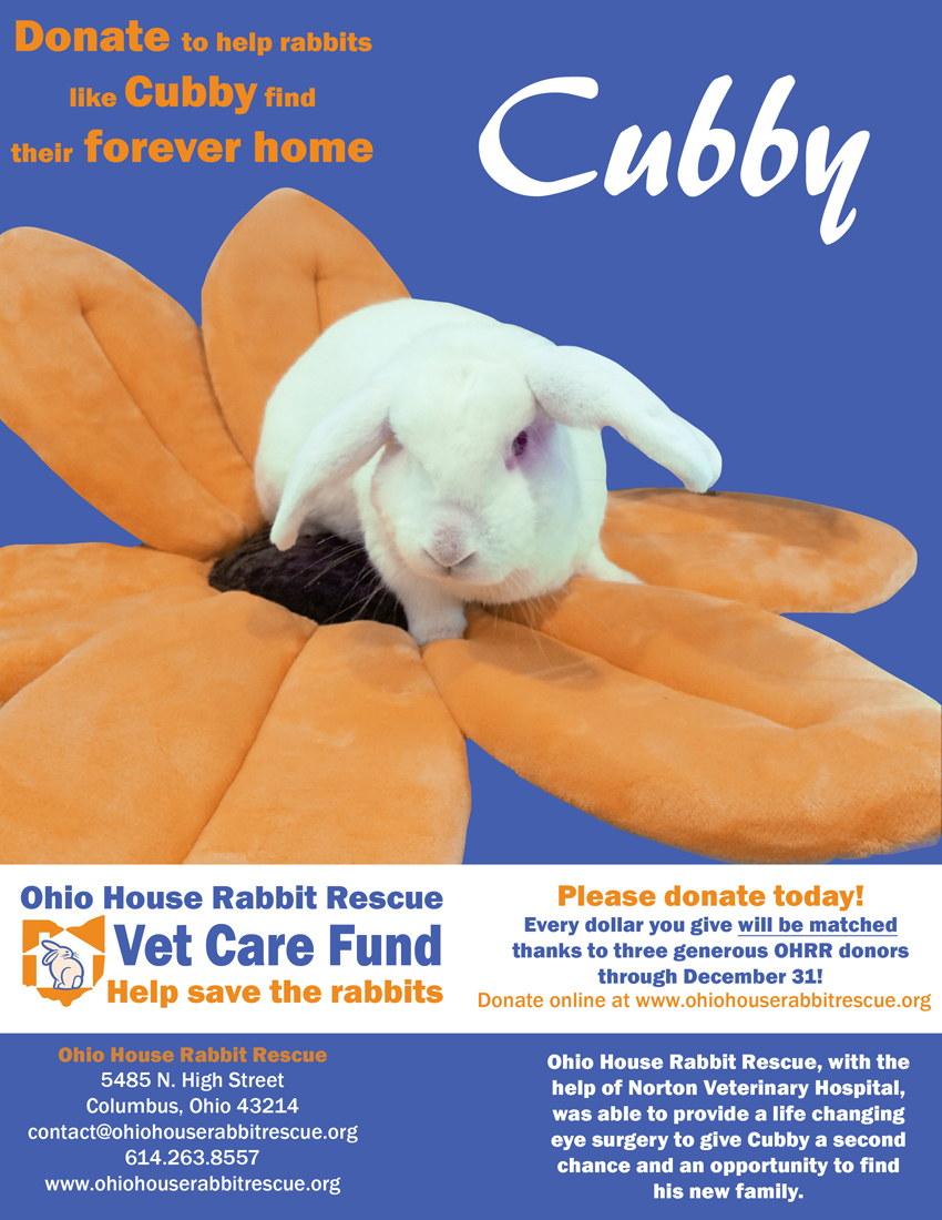 Cubby Poster graphic design for house rabbit rescue